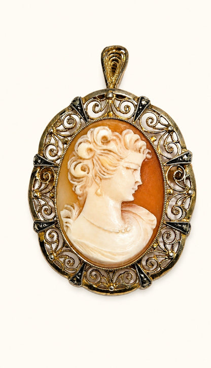 Classic Cameo Brooch - Pendant (Victorian Era)