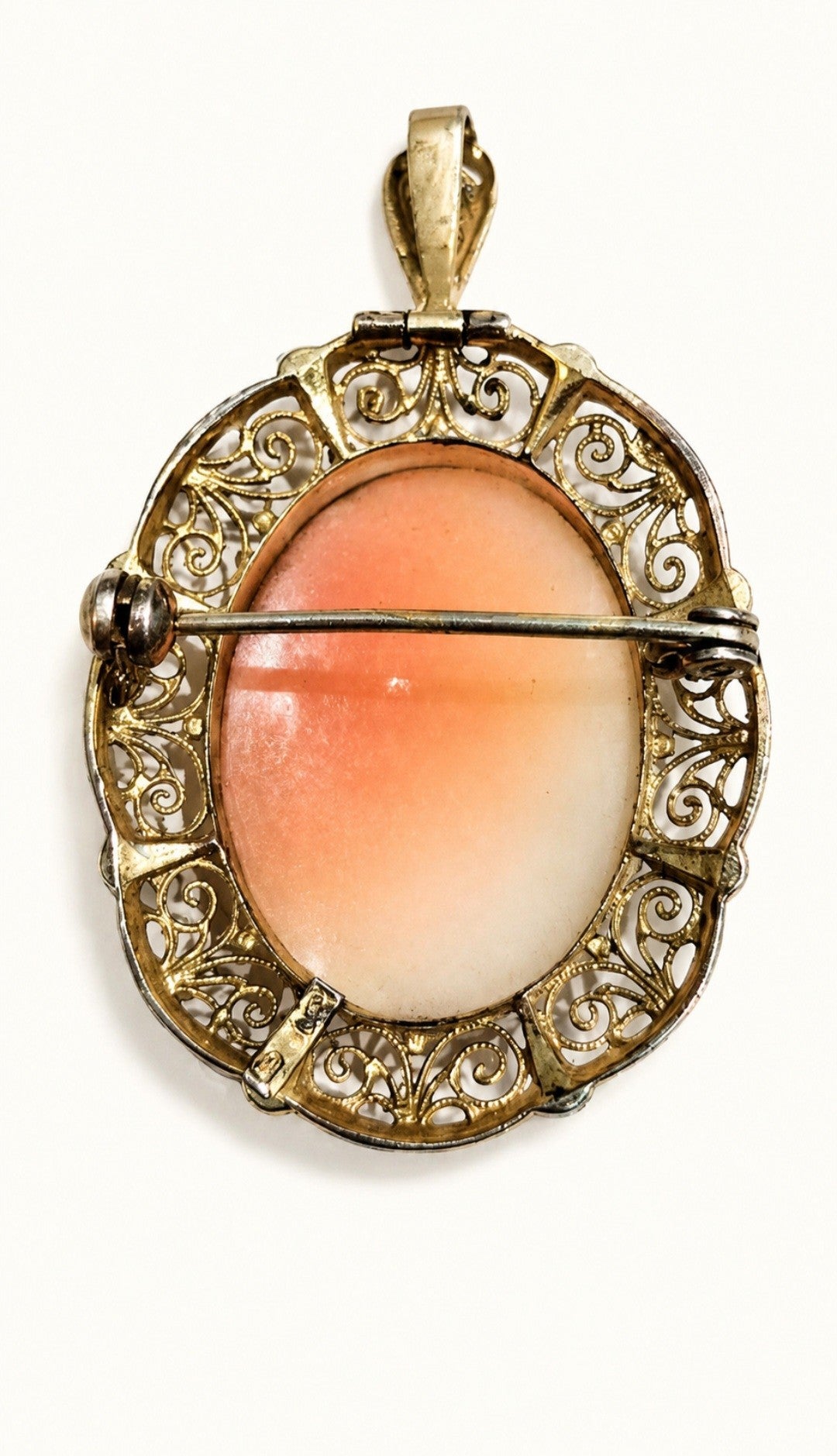 Classic Cameo Brooch - Pendant (Victorian Era)