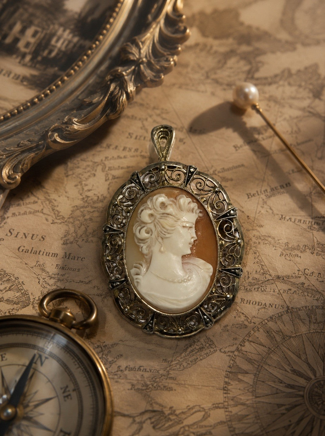 Classic Cameo Brooch - Pendant (Victorian Era)